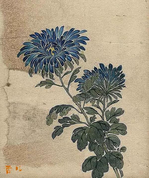 精美｜缪谷瑛百花图集与菊谱（130幅）