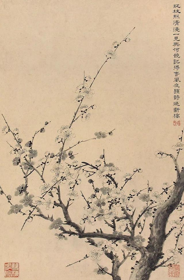 陶冷月｜被人遗忘的岁月里仍然认真作画（160幅）