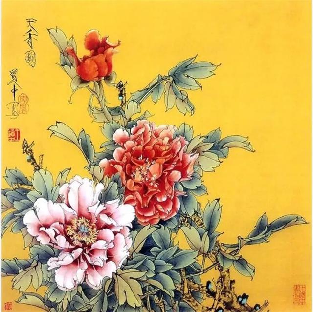 花卉百态｜王道中：我如何画工笔牡丹