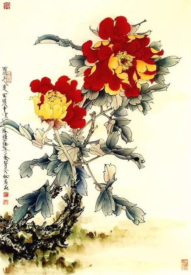 花卉百态｜王道中：我如何画工笔牡丹