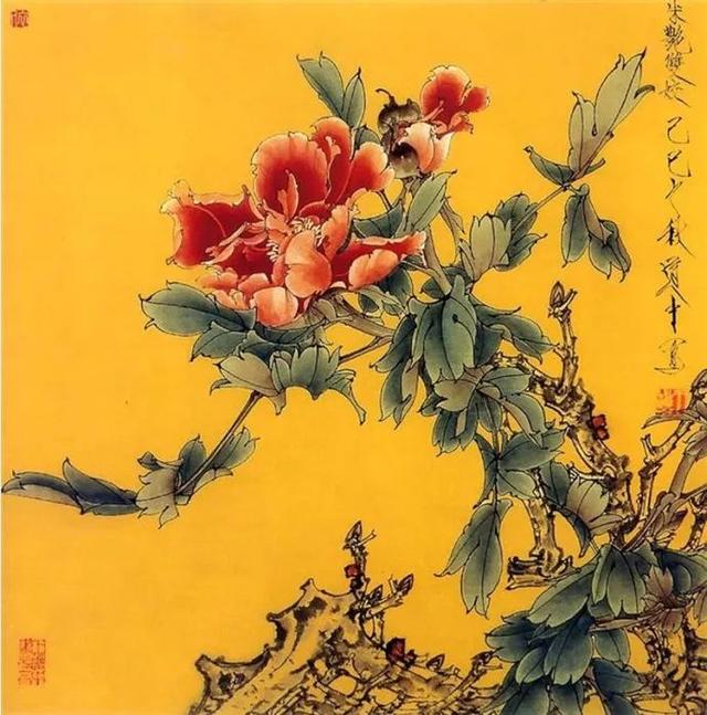 花卉百态｜王道中：我如何画工笔牡丹