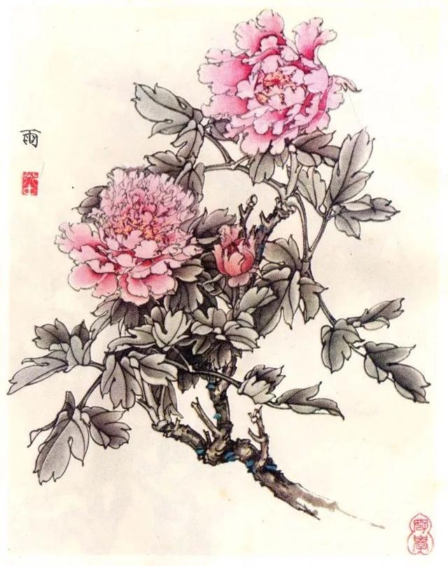 花卉百态｜王道中：我如何画工笔牡丹