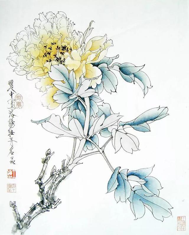 花卉百态｜王道中：我如何画工笔牡丹