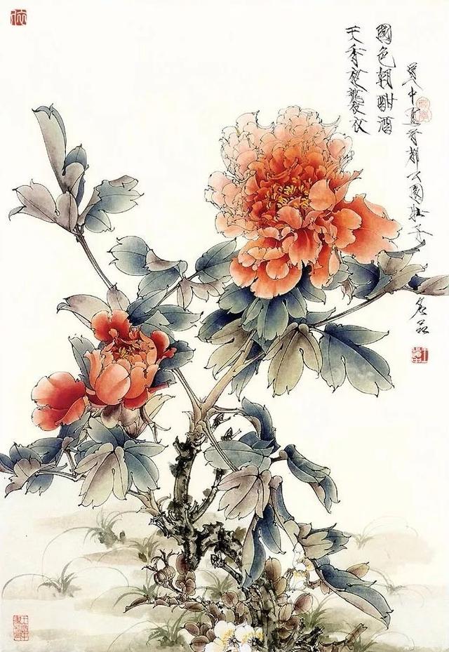 花卉百态｜王道中：我如何画工笔牡丹