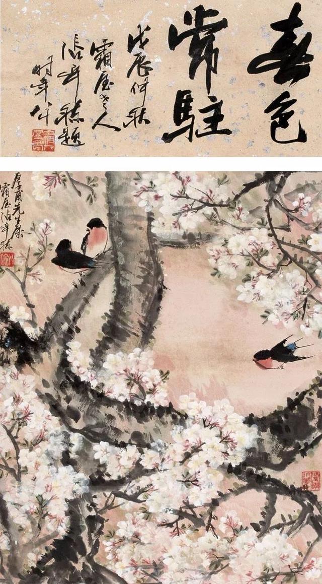 花鸟画大家｜张辛稼：学画首先要学做人（90幅）